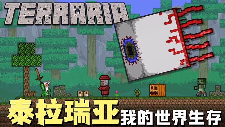 Minecraft Terraria Survival