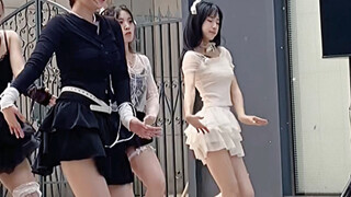 Bài hát thiên nga Số lượng hoa đuôi sóc hoàn hảo