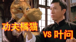 叶问大战橘猫 大闹佛山下集 之 我要打叶问！