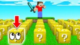 We Played LUCKY BLOCK PROP HUNT! (Minecraft)