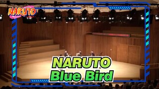 [NARUTO] Blue Bird~ Chongqing Woodwind Quintet