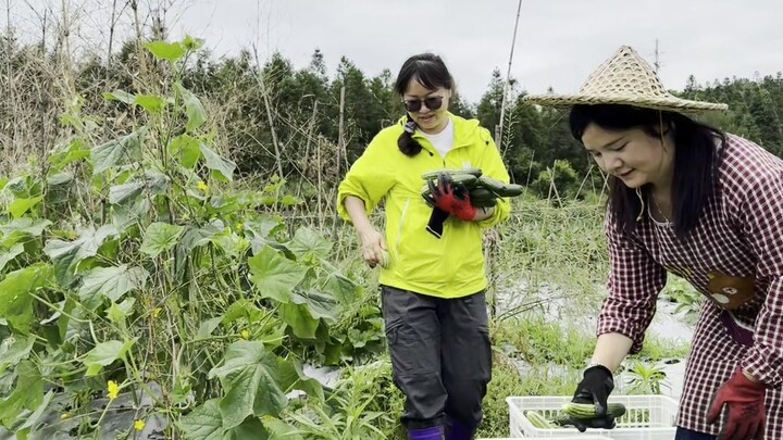 أعدّ وجبة لأكافئ البط، فقد صنع البط إنجازًا عظيمًا هذا العام!