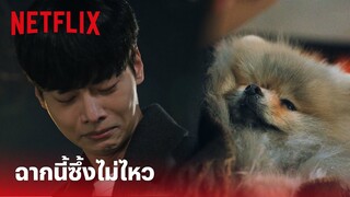 Tomorrow EP.9 Highlight - น้ำตาแตกเลยฉากนี้ 'น้องหมา' เล่นเอาซะซึ้งเลย | Netflix