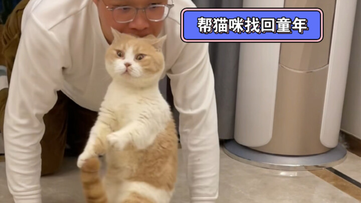 When a cat tries to help a kitty reclaim its lost maternal love!