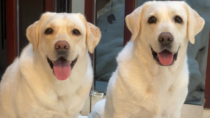 لم أتوقع أن يطالني ما كنت أتابعه من أخبار.