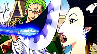 Zoro carry the wano.