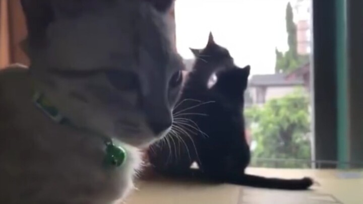 ฉันอิจฉาสุดๆ!