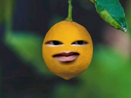 Anh Đổng hoặc livestream kết nối trực tiếp, hoặc rời quán net.