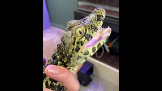 คนใกล้ตัว มักเป็นคนที่เราเผลอทำตัวห่างไกล