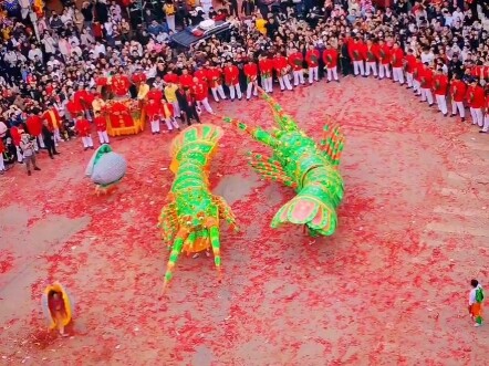 An Unconventional Lion Dance Performance: A Lobster Dance! A Giant Lobster!