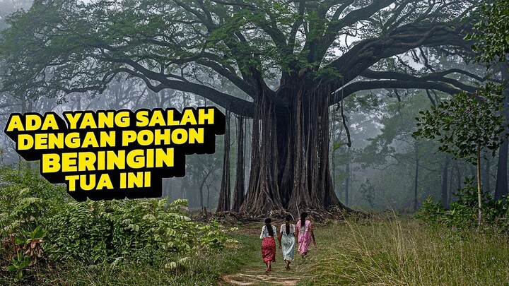 3 GADIS BASUDARA TIDAK PUNYA JALAN LAIN UNTUK DILEWATI ‼️
