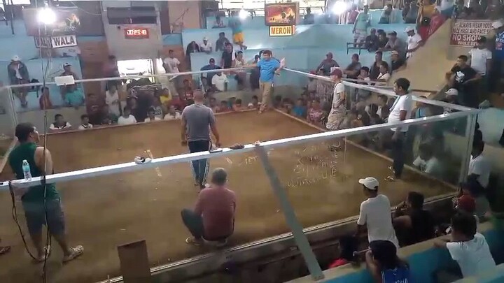 talisayin galing mo alaga ko kaso patay kadin.kahit pilay kana pinatay mo parin kalaban mo...