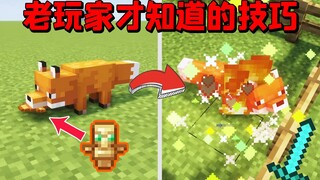 Minecraft: 7 Mẹo Có Thể Bạn Chưa Biết, Cáo Có Thể Giúp Bạn Nướng Gà!