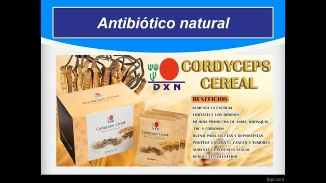 Beneficios del Cordyceps