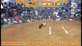 Super Domkan "Light side" - 2X Winner "Unscratched" used in Semis - 2024 WPC 12-Stag National Derby