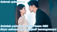 Setelah pertama kali bertemu CEO, saya sebenarnya menjadi tunangannya