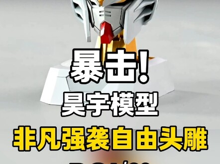 1/60非凡强袭自由头雕