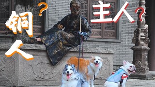 Apakah para anjing masih bisa mengenali tuannya setelah tuannya berubah menjadi patung? Pada akhirny