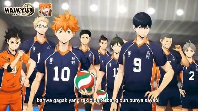 HAIKYU!! FLY HIGH