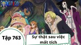 One Piece Tập 763: Sự thật sau việc mất tích của Sanji (Tóm Tắt)