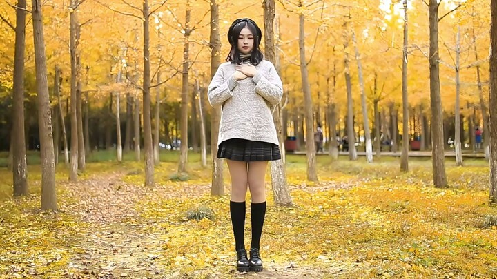 7 tahun kemudian, di musim Ginkgo, apakah Anda masih menari di rumah?