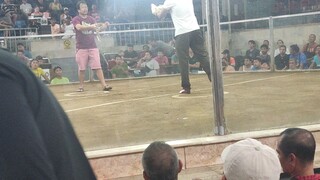 2HITS ULUTAN SA KAYBIGA NCCA CALOOCAN 1st Fight My Kanawayon  Champion