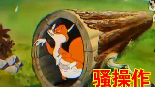 ”狐狸の骚操作“