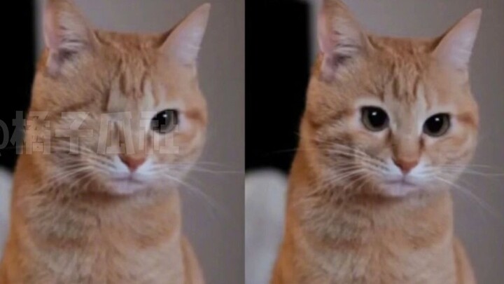 Dunia ini berantakan, tapi selalu ada yang memperbaikinya.