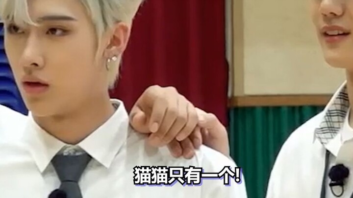 Paw Patrol and Kitty | Neighborhood Stars, Episode 2 | cb-oriented