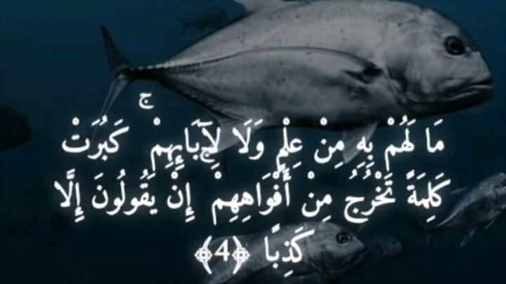 Quran Holy QuranQuran recitationQuran tiliwat statusQuran statusShort Quran recitationTiliwatQuran K