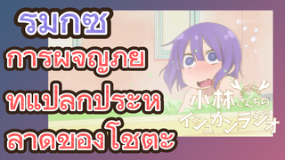 [โคบายาชิซังกับเมดมังกร] รีมิกซ์ | การผจญภัยที่แปลกประหลาดของโชตะ