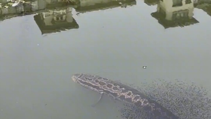 Làm sao bây giờ, không mang đồ theo.