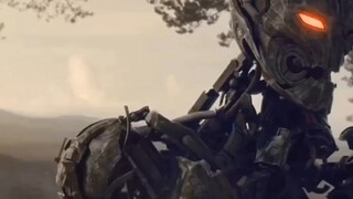 I actually saw a sense of brokenness in a robot.