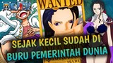 ONE PIECE TERBARU !! NICO ROBIN ADALAH KUNCI LUFFY MENUJU LAUGH TALE & MENJADI RAJA BAJAK LAUT !!