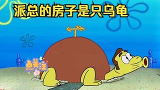 派总的房子居然是一只沉睡千年的乌龟？