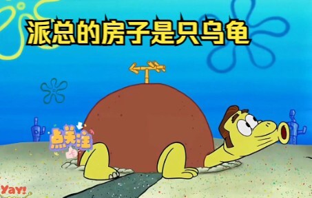 Mr. Pai’s house is actually a turtle that has been sleeping for a thousand years?