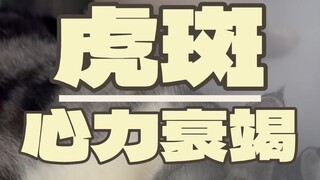 เมื่อเร็วๆ นี้คุณเคยเห็นแมวที่เสียชีวิตกะทันหันไหม? ก็คือโรคแบบนี้นี่แหละ