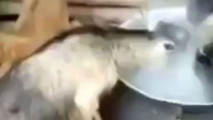 ลุงสองคนนี้ช่างใจกว้างจริงๆ