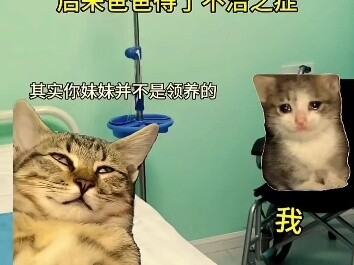 Sau một thời gian dài làm việc chăm chỉ, cuối cùng chúng ta đã trở thành một gia đình