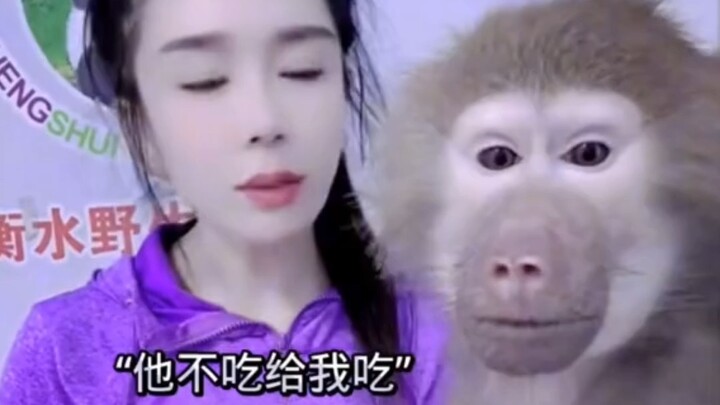 Di live streaming muncul iblis sejati, bahkan Sun Wukong palsu pun tak mampu menembus tatapan mata e