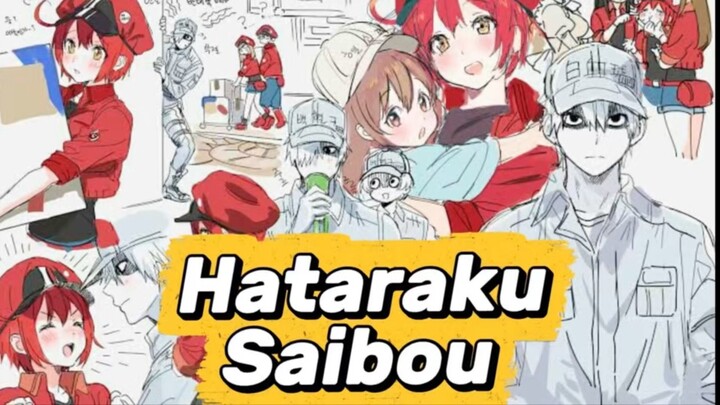 Rate 100/100 buat Hataraku Saibou !! Coba tonton sendiri