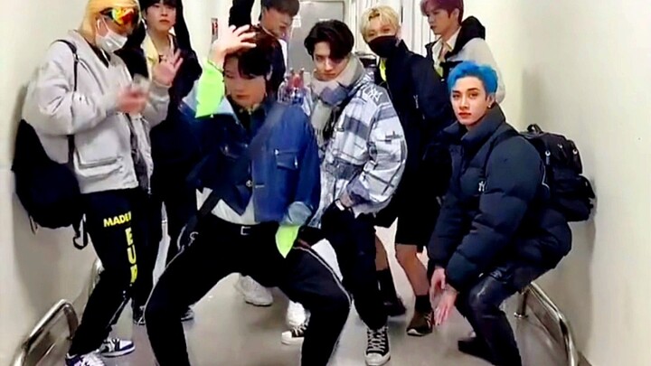 论粉丝为了自担能做到什么程度