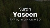 Surah Yaseen - Qari Tareq Mohammed -