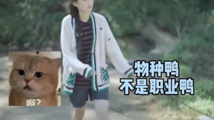 Nam chính là một chú vịt, đúng là MV của Việt Nam mà!