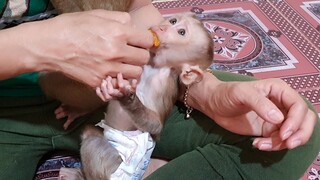 Most Lovely Baby Wake Up Eating Orange Fruits