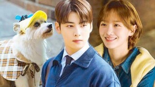 A Good Day to be a Dog Episode 27 Tagalog Dubbed