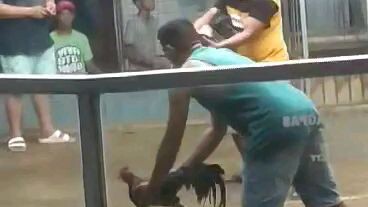 second fight pure melcro win