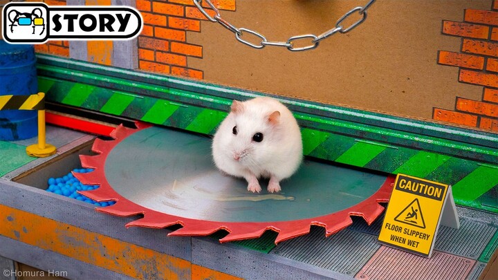 【فيديو عمودي】الهامستر يهرب من أخطر متاهة سجن 🐹 هومورا هام