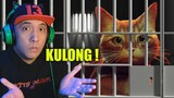 HULI pero hindi KULONG! / Stray ep6 part 2 (tagalog / pinoy / filipino)