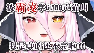 首播7天就被霸凌强行欠下6000声喵叫！